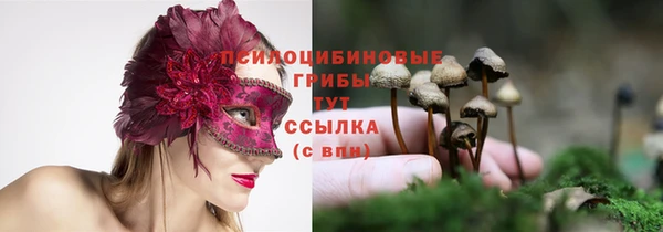амф Киреевск